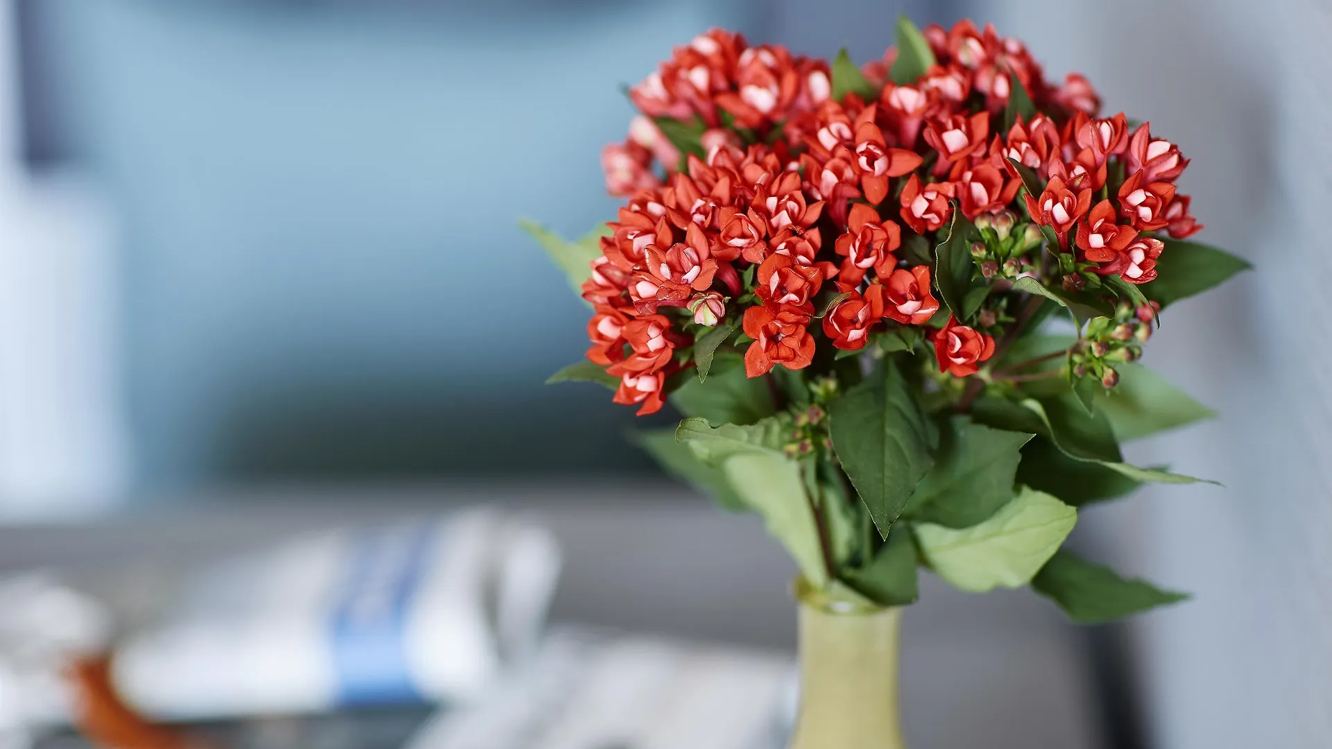 Aparthotel Living Hotel Kaiser Franz Joseph Vienna